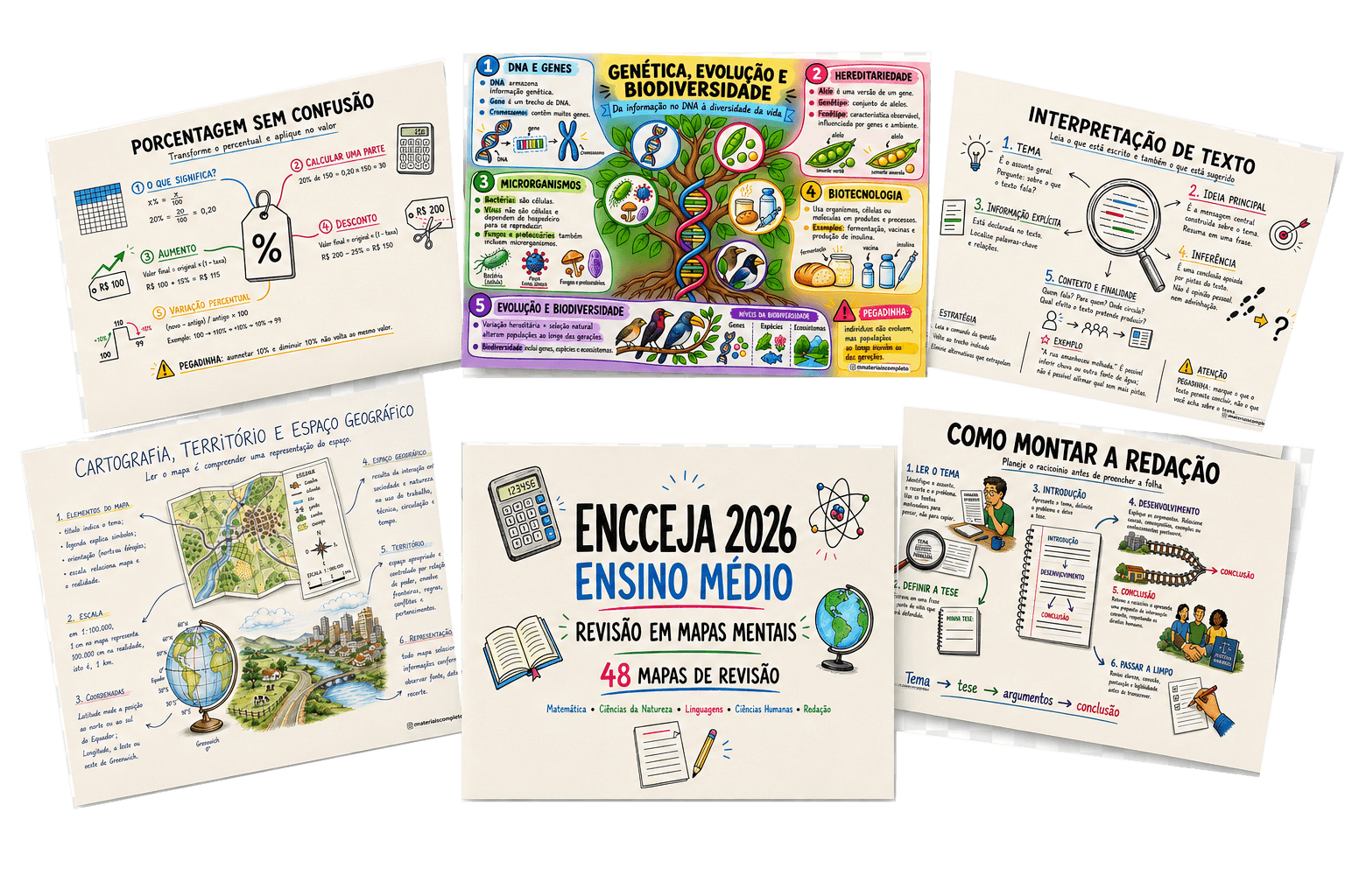 Mapas visuais das 4 áreas do Encceja
