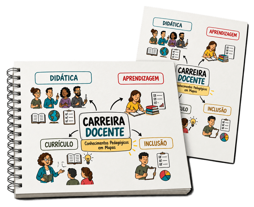 Plano de entrada